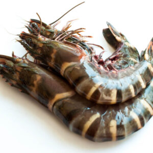 Tiger Prawns